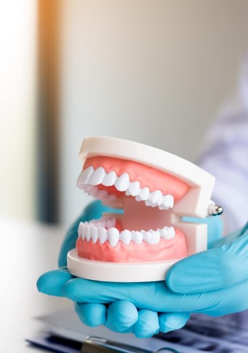 Model smile used explain the function of dentures
